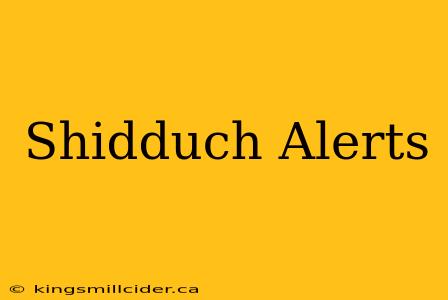 Shidduch Alerts