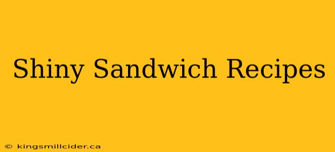 Shiny Sandwich Recipes