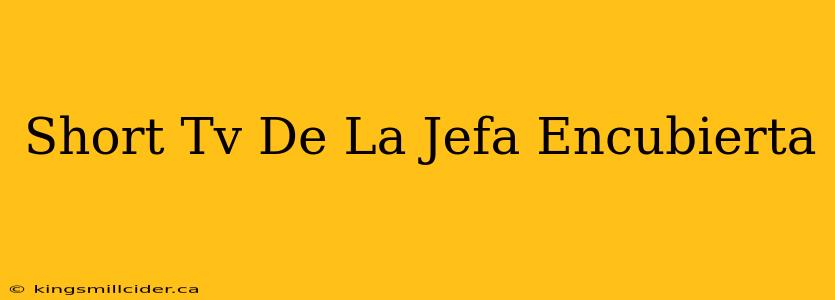 Short Tv De La Jefa Encubierta