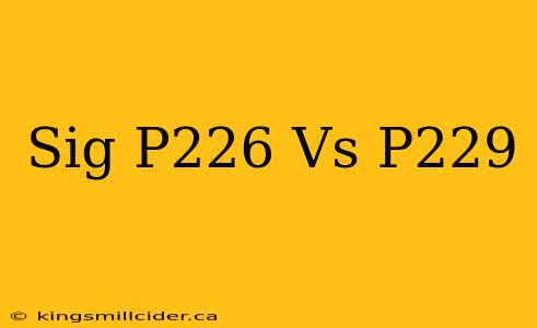 Sig P226 Vs P229