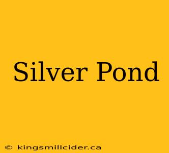 Silver Pond