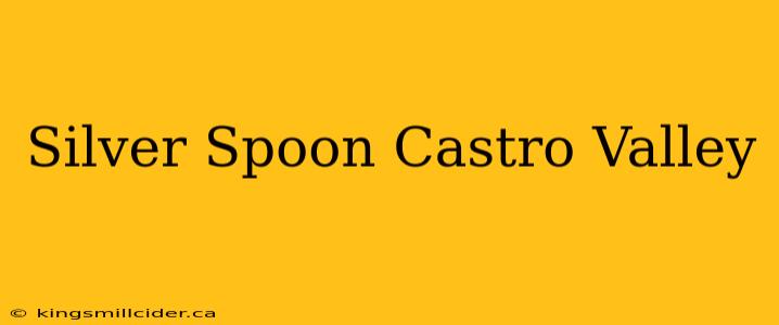 Silver Spoon Castro Valley