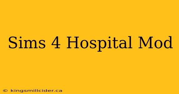 Sims 4 Hospital Mod