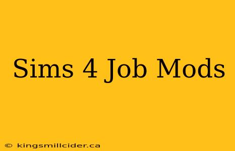 Sims 4 Job Mods