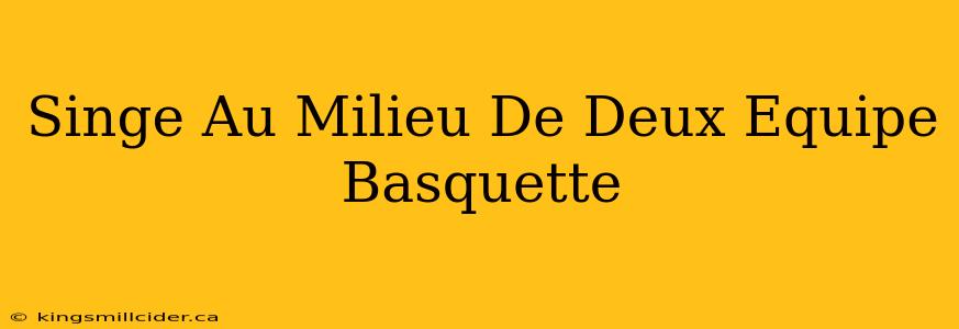 Singe Au Milieu De Deux Equipe Basquette