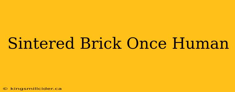 Sintered Brick Once Human