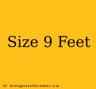 Size 9 Feet