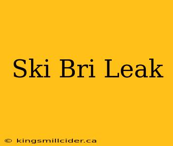 Ski Bri Leak