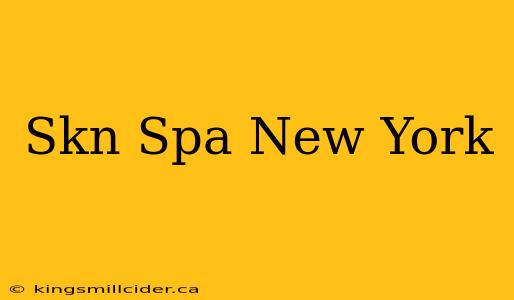 Skn Spa New York