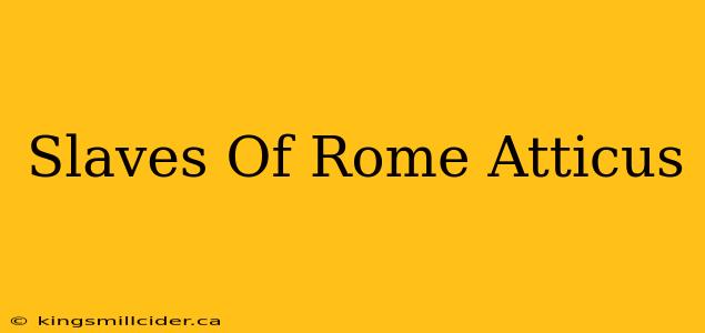 Slaves Of Rome Atticus