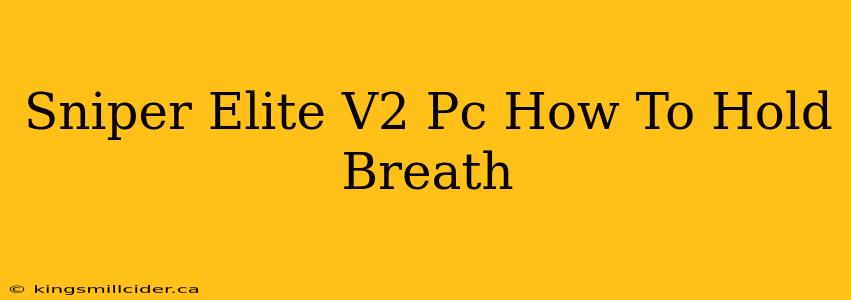 Sniper Elite V2 Pc How To Hold Breath