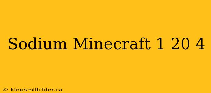 Sodium Minecraft 1 20 4