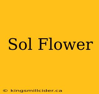 Sol Flower