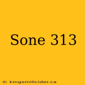 Sone 313