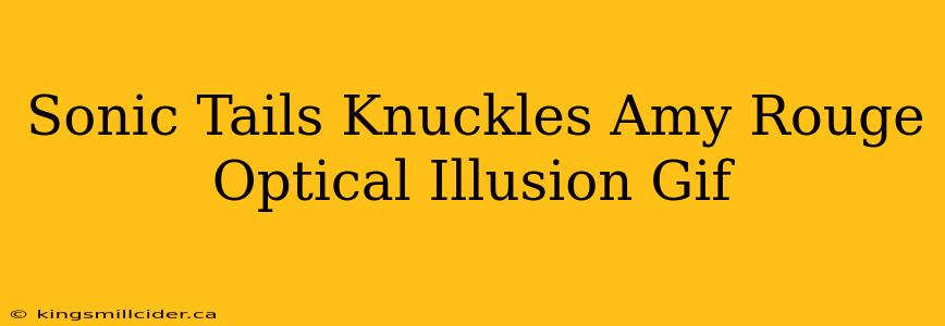 Sonic Tails Knuckles Amy Rouge Optical Illusion Gif