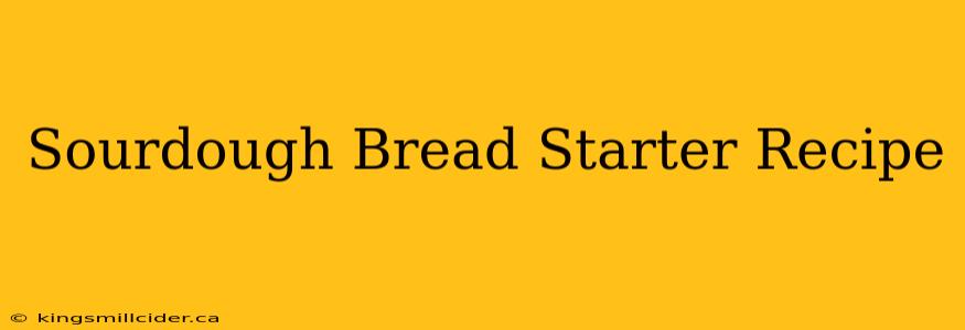 Sourdough Bread Starter Recipe