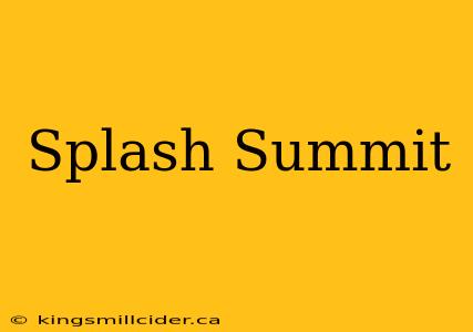 Splash Summit