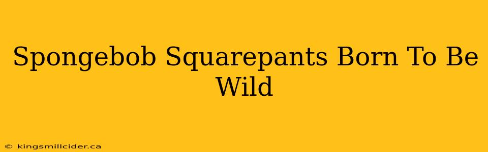 Spongebob Squarepants Born To Be Wild