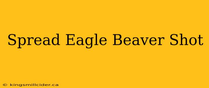 Spread Eagle Beaver Shot