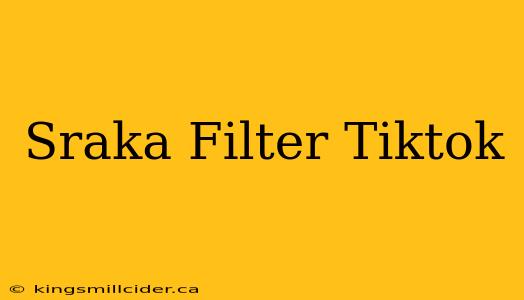 Sraka Filter Tiktok