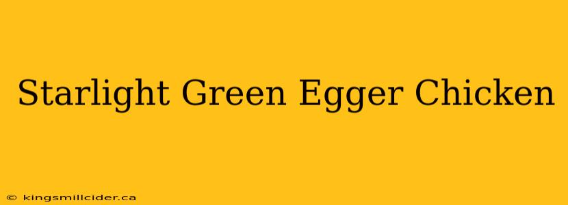 Starlight Green Egger Chicken