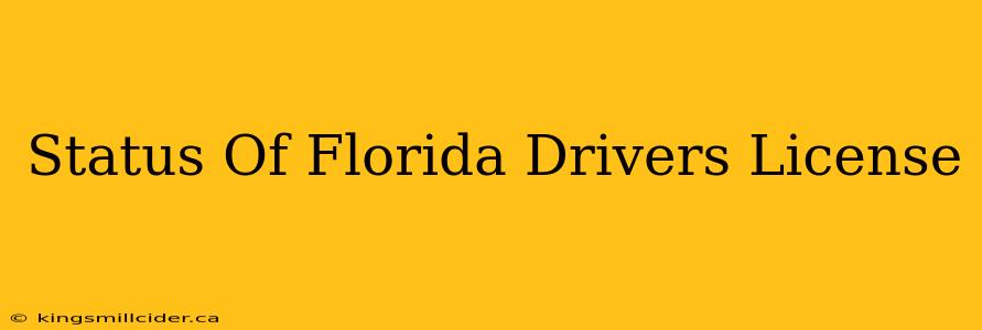 Status Of Florida Drivers License