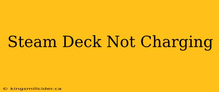 Steam Deck Not Charging