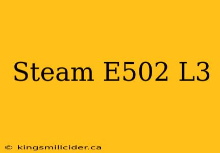 Steam E502 L3