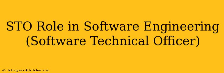 STO Role in Software Engineering (Software Technical Officer)