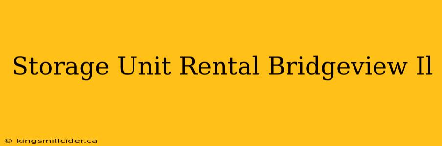 Storage Unit Rental Bridgeview Il