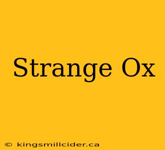 Strange Ox