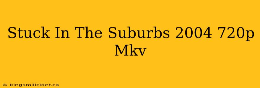 Stuck In The Suburbs 2004 720p Mkv