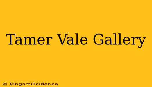 Tamer Vale Gallery