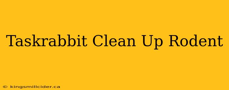 Taskrabbit Clean Up Rodent