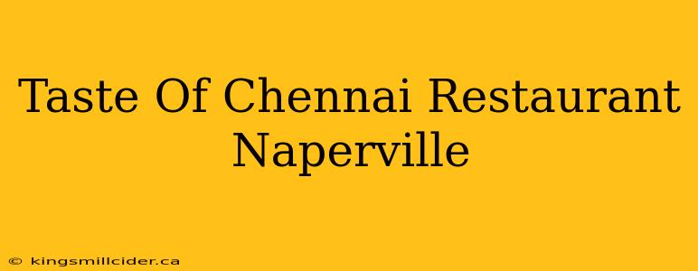 Taste Of Chennai Restaurant Naperville