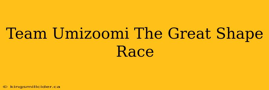 Team Umizoomi The Great Shape Race