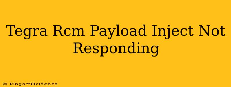 Tegra Rcm Payload Inject Not Responding