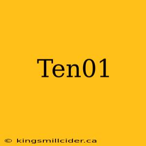 Ten01