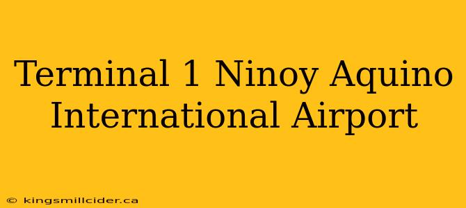 Terminal 1 Ninoy Aquino International Airport