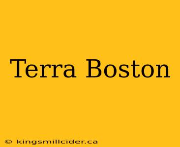 Terra Boston