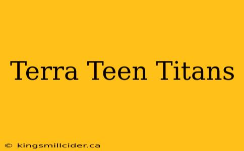 Terra Teen Titans