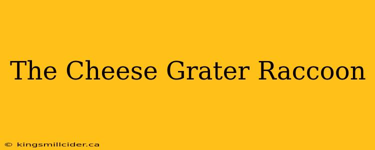 The Cheese Grater Raccoon