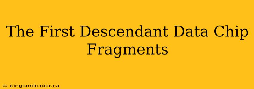 The First Descendant Data Chip Fragments