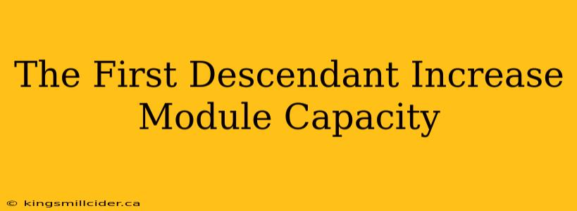 The First Descendant Increase Module Capacity