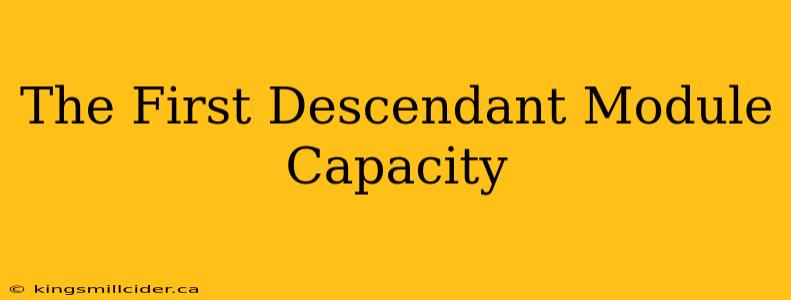 The First Descendant Module Capacity