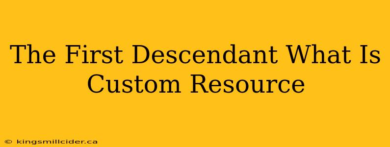 The First Descendant What Is Custom Resource