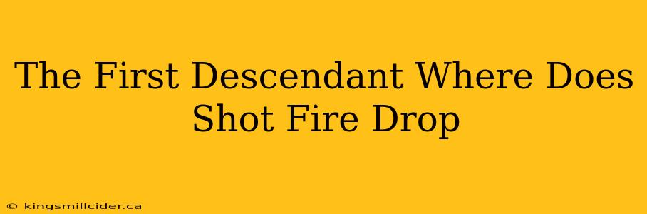 The First Descendant Where Does Shot Fire Drop