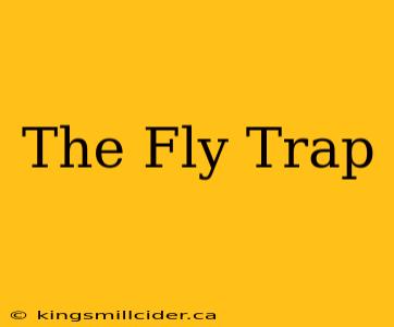 The Fly Trap