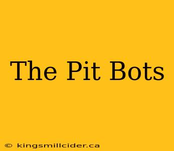 The Pit Bots