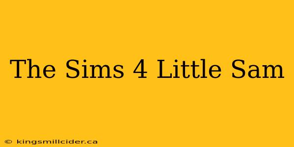 The Sims 4 Little Sam